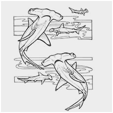 230x230 Realistic Fish Coloring Pages Best Of Realistic Sea Life Drawings - Sea Life Drawings