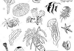300x210 Sea Life Drawing - Sea Life Drawings