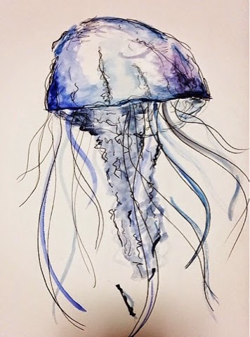 356x480 sea life inspired jewellery sea life drawing - Sea Life Drawings