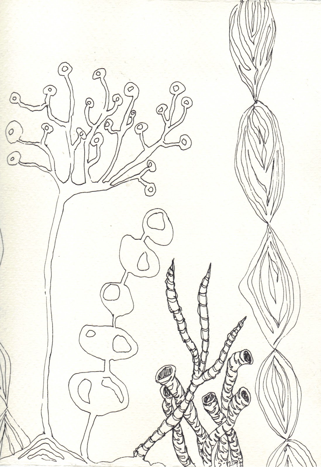 1098x1600 Carol Sloan Studios Sea Life - Sea Life Drawings