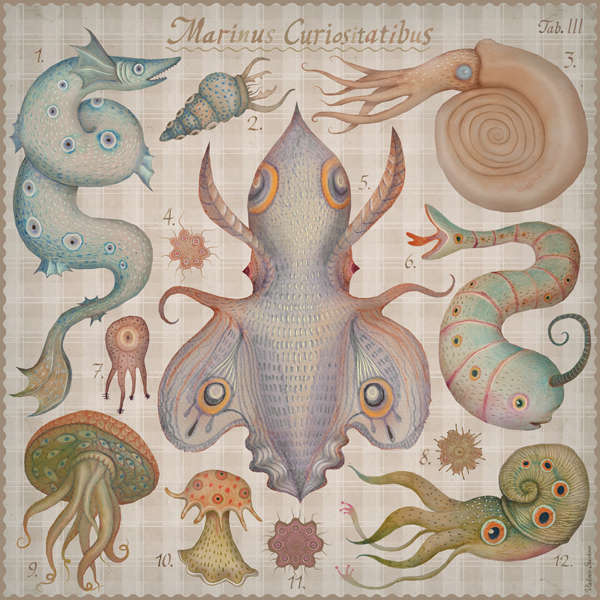 600x600 Fantastical Sea Creature Drawings Marine Curiosities - Sea Life Drawings