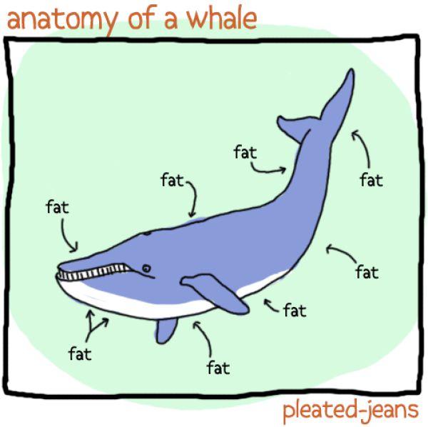 600x598 Funny Sea Life Drawings - Sea Life Drawings