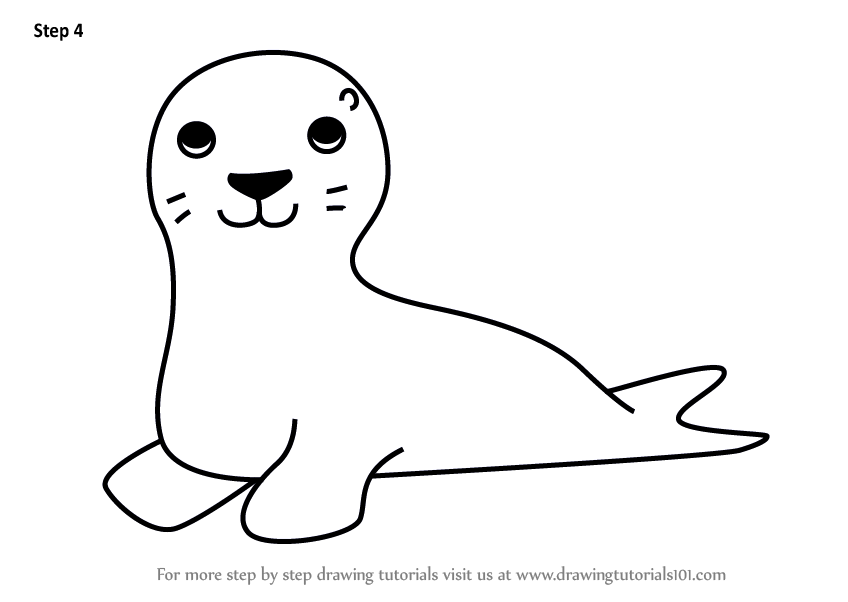 848x602 learn how to draw a sea lion for kids - Sea Lion Drawing