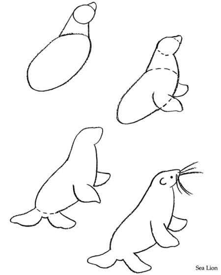 450x559 a sea lion draw this in drawings, lion drawing, drawing - Sea Lion Drawing