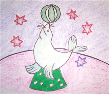 350x301 how to draw how to draw a sea lion - Sea Lion Drawing For Kids