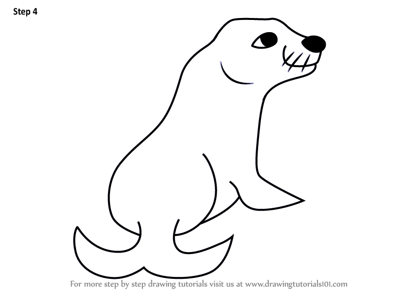844x598 learn how to draw a cartoon sea lion - Sea Lion Drawing For Kids