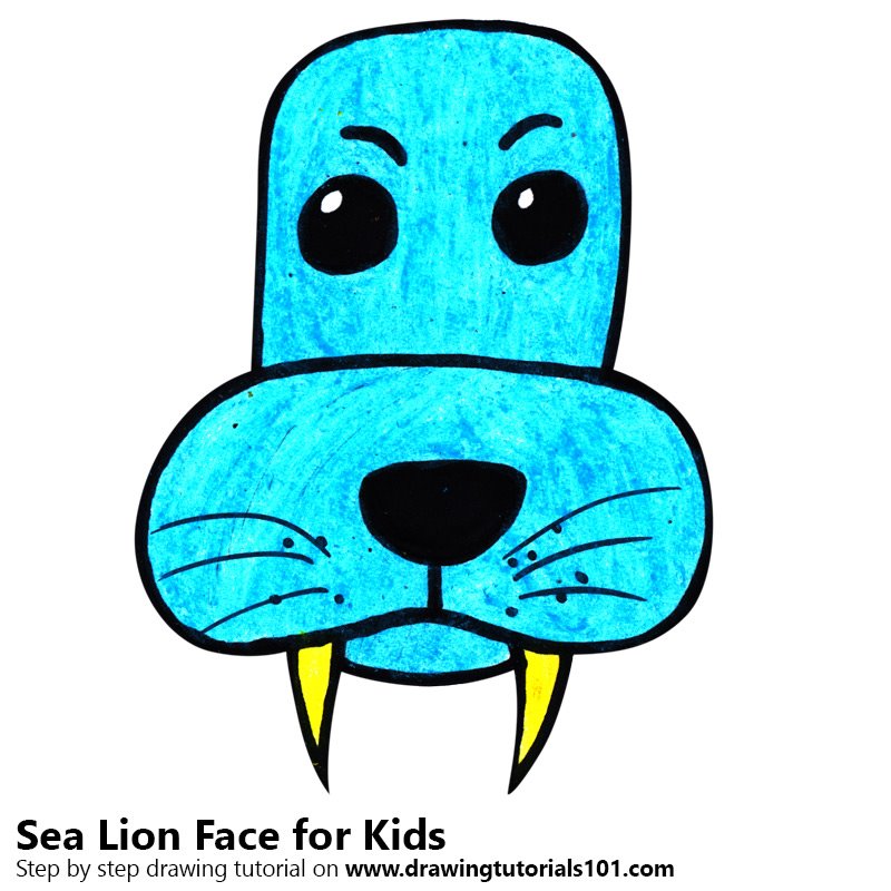 800x800 learn how to draw a sea lion face for kids - Sea Lion Drawing For Kids