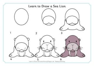 320x226 learn to draw a sea lion je dessine, i draw drawings, sea - Sea Lion Drawing For Kids
