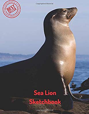 310x400 sea lion sketchbook blank paper for drawing, doodling - Sea Lion Drawing For Kids