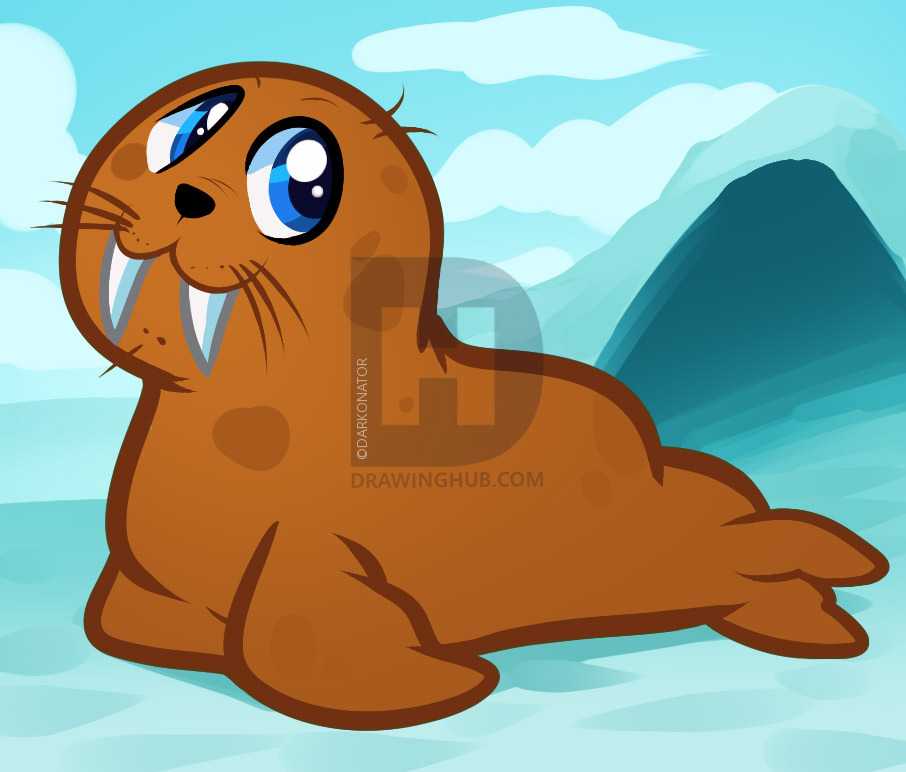 906x772 how to draw a walrus for kids, step - Sea Lion Drawing For Kids