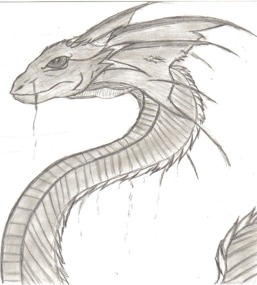 848x942 Snakesserpentsdragons In Snake - Sea Monster Drawing