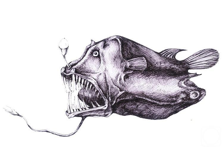 750x513 Sea Monster Drawing - Sea Monster Drawing