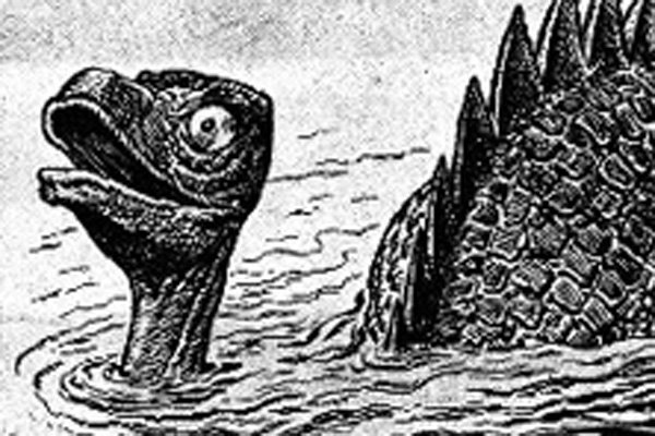 600x400 The Soay Island Sea Monster - Sea Monster Drawing