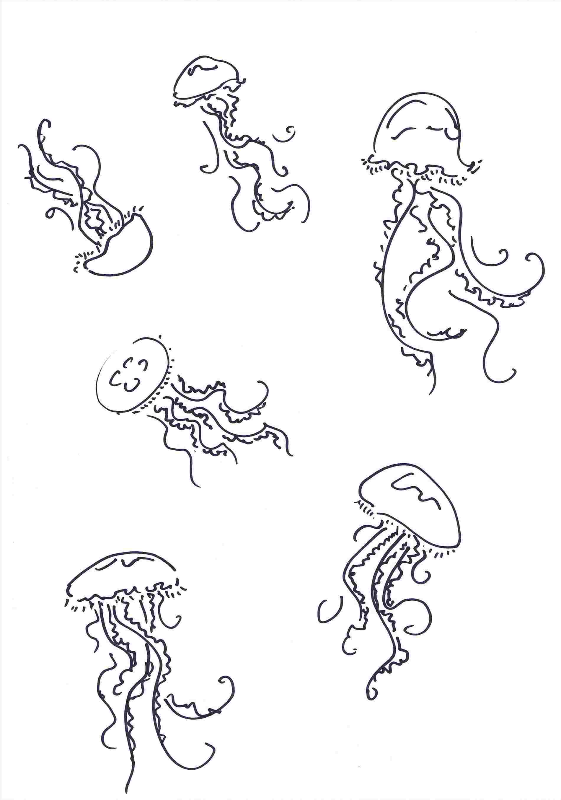 1900x2709 drawings how to draw a cool sea monster drawing rhyoutubecom - Sea Monster Drawing