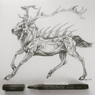 320x320 Seamonster Drawings On Paigeeworld Pictures Of Seamonster - Sea Monster Drawing