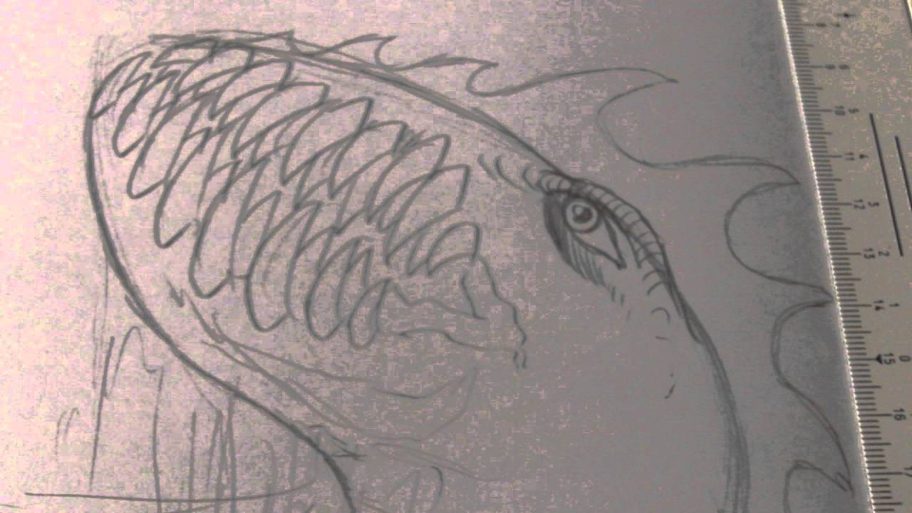 1280x720 Drawing A Sea Monster Step - Sea Monster Drawing