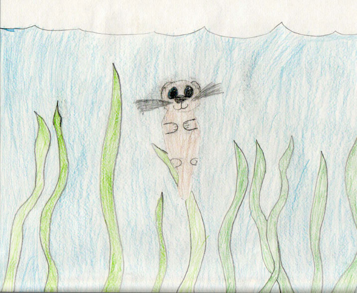 717x589 kids drawing friends of the sea otter sea otterfriends - Sea Otter Drawing