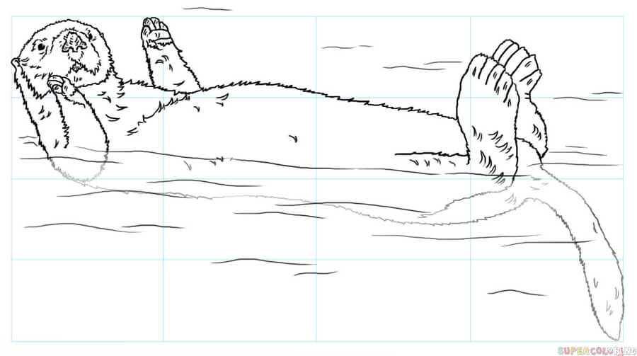 900x503 Otter Drawing Free Download - Sea Otter Drawing
