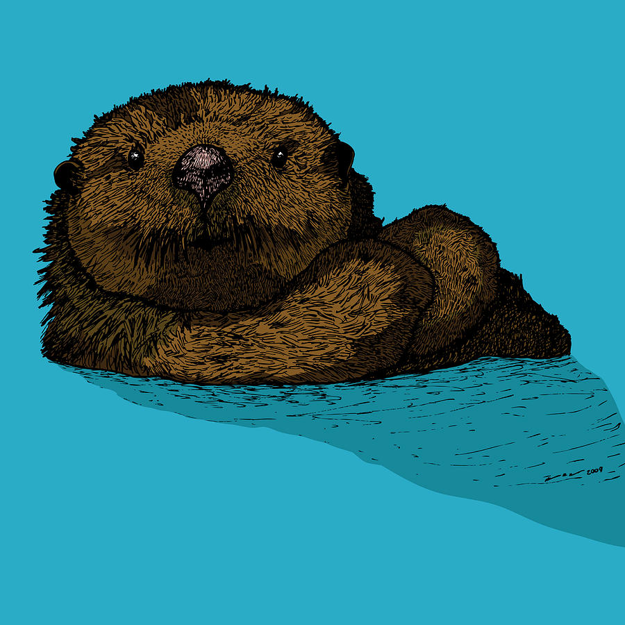 900x900 Sea Otter - Sea Otter Drawing