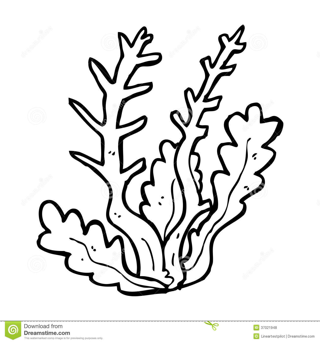 1300x1390 Kelp Drawing Sea Plant For Free Download - Sea Plants Drawing