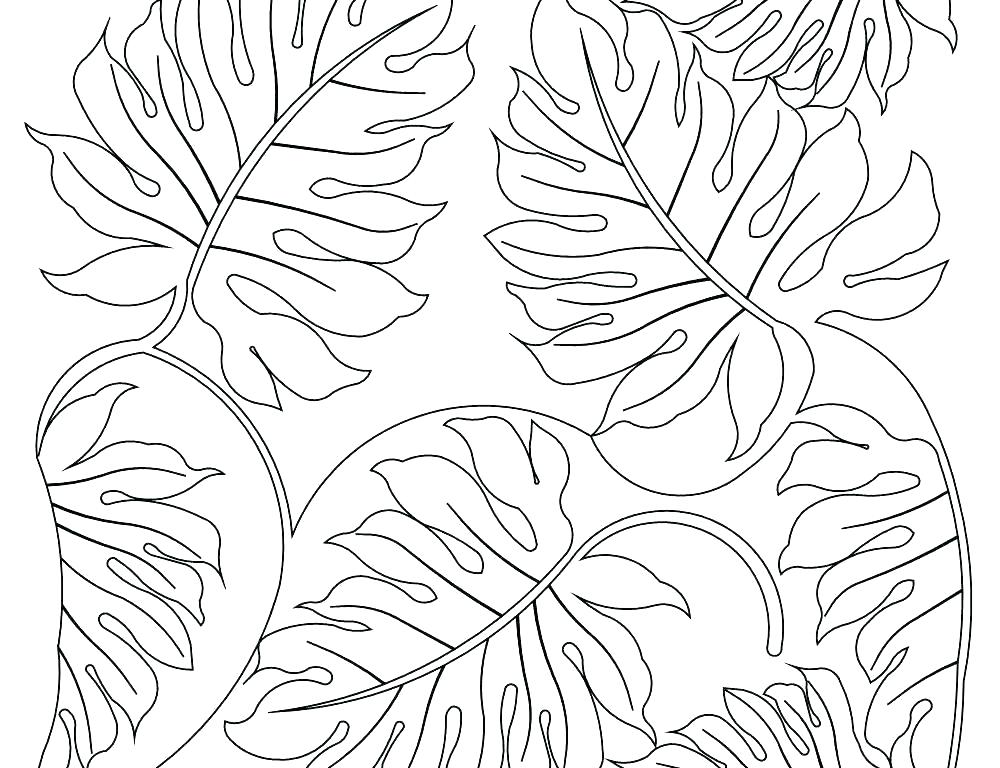 1000x768 Sea Plants Coloring Pages Drawing At Free For Personal Use Ocean - Sea Plants Drawing