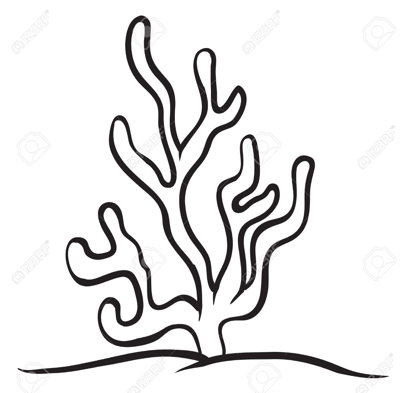 1300x1253 Seagrass Drawing Plant Ocean For Free Download - Sea Plants Drawing