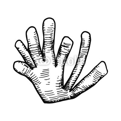 400x400 Algae Hand Drawing Vector Isolated Sea Plants Buy Photos Ap - Sea Plants Drawing