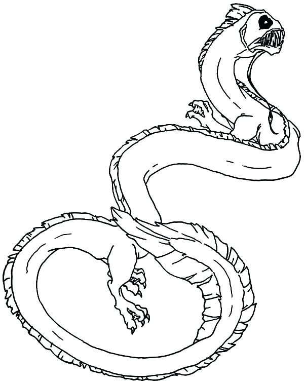 600x758 sea serpent drawing coloring pages - Sea Serpent Drawing