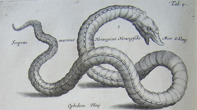 761x426 sea serpents - Sea Serpent Drawing