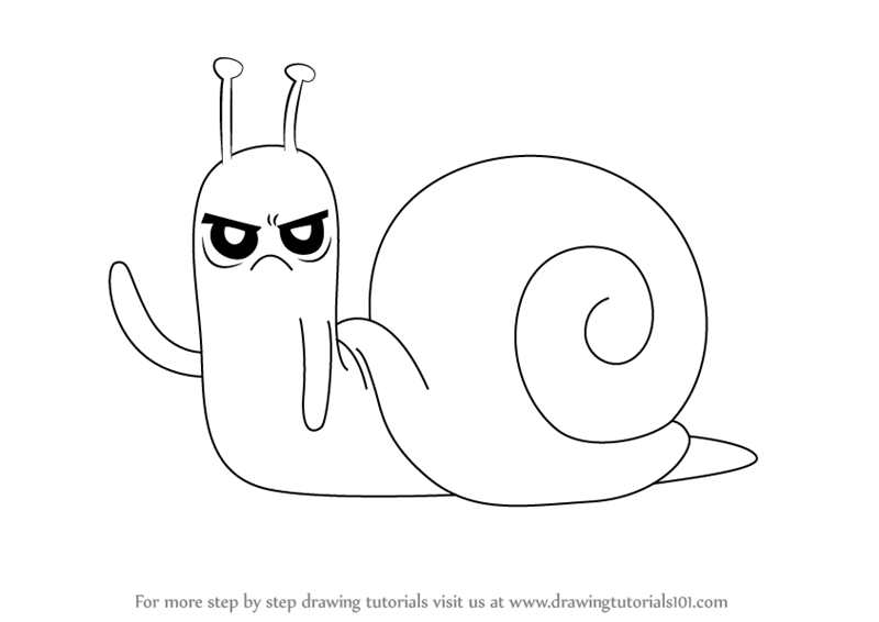 800x566 learn how to draw snail from adventure time - Sea Snail Drawing