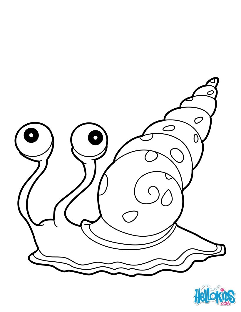 820x1060 sea snail coloring pages - Sea Snail Drawing
