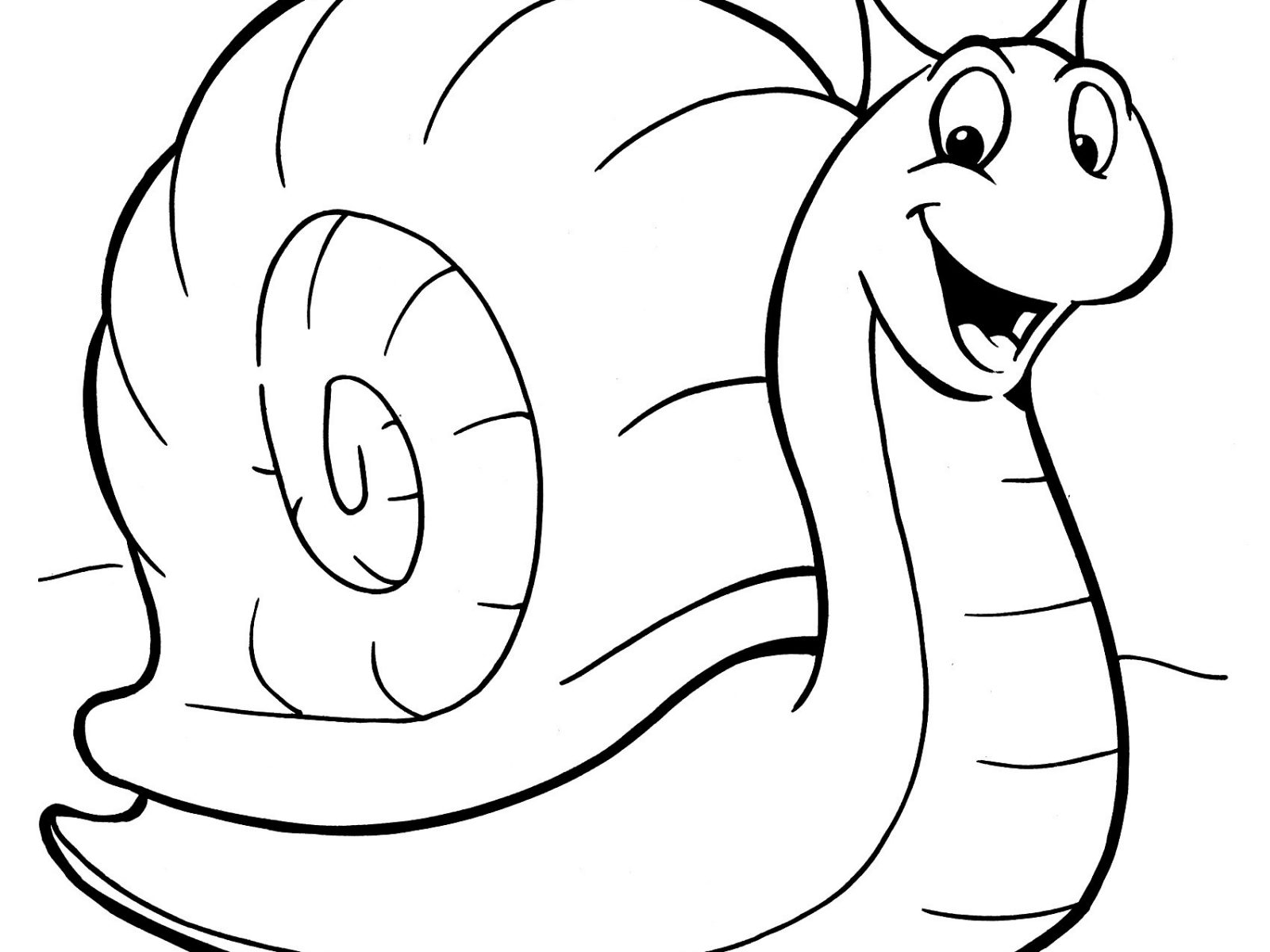 1600x1200 snail coloring - Sea Snail Drawing