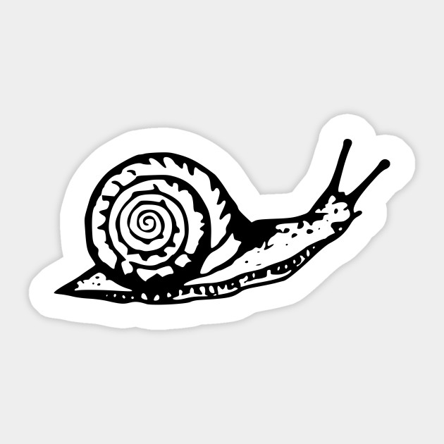 630x630 snail drawing - Sea Snail Drawing