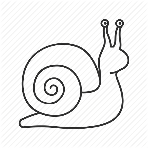 512x512 collection of free snail drawing download on ui ex - Sea Snail Drawing