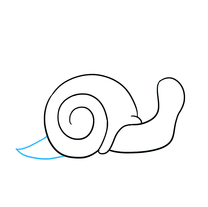 680x678 how to draw a snail - Sea Snail Drawing