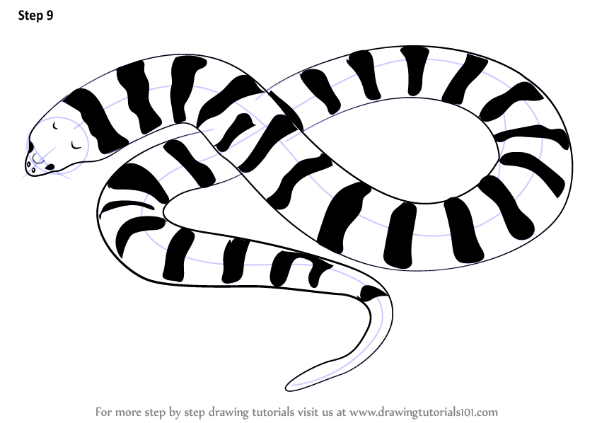 844x598 Learn How To Draw A Tiger Snake - Sea Snake Drawing