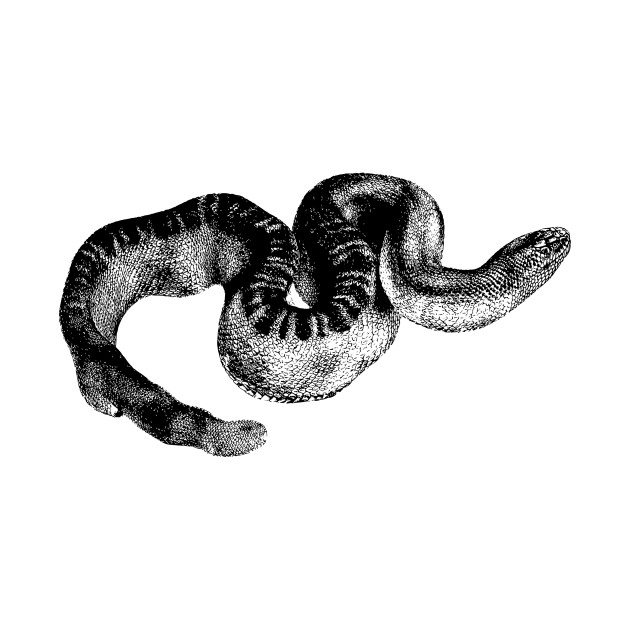 630x630 Sea Snake - Sea Snake Drawing