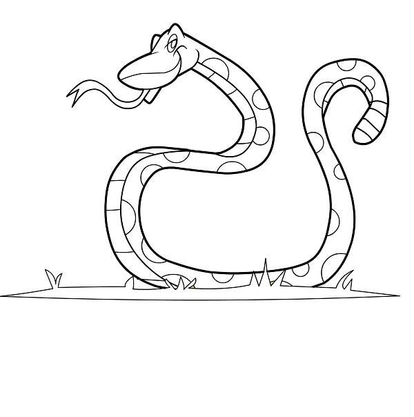 600x604 Sea Snake Coloring Pages Coloring Pages Coloring - Sea Snake Drawing