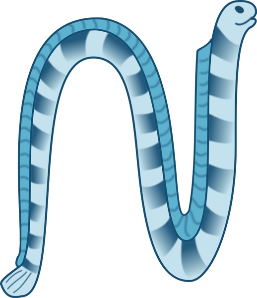 518x600 Sea Snake Free Vector In Open Office Drawing - Sea Snake Drawing