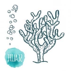 300x300 photostock vector sea sponge vector hand drawn graphic - Sea Sponge Drawing