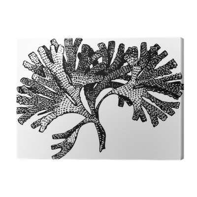 400x400 sponges drawing cute sea transparent png clipart free download - Sea Sponge Drawing