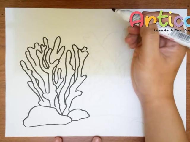 640x480 drawn coral sea sponge - Sea Sponge Drawing