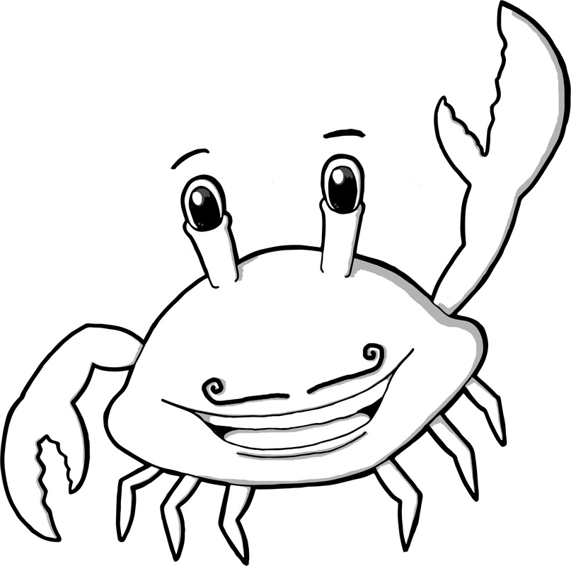 807x800 resources - Sea Star Drawing