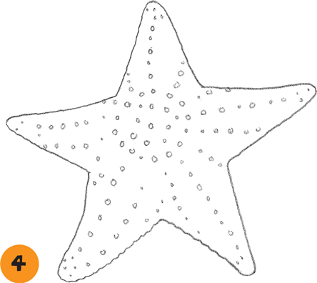 444x396 Sea Star - Sea Star Drawing