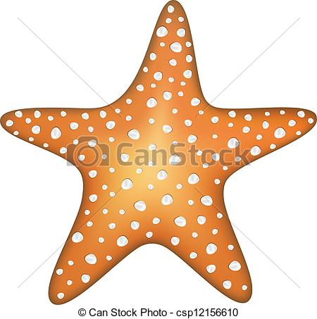 450x453 Sea Star Isolated On A White Background - Sea Star Drawing