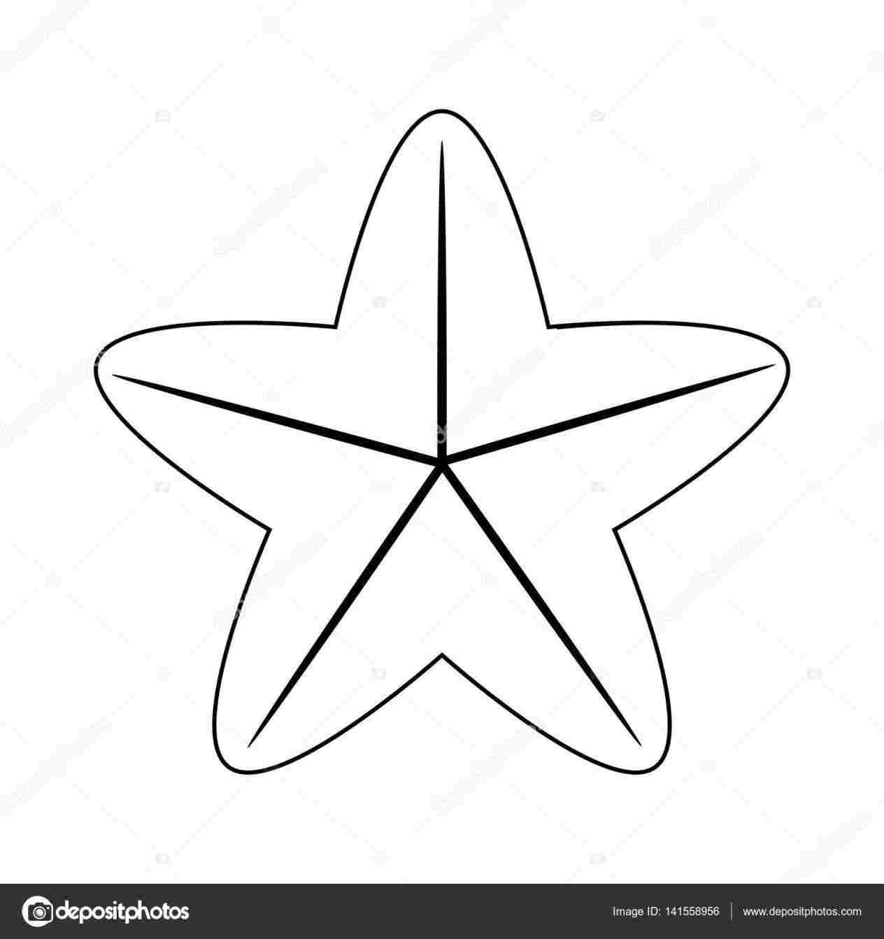 1264x1343 sea sea star drawing star doodle abstract pattern vector stock - Sea Star Drawing