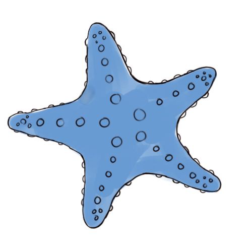 500x500 draw a starfish kid craft ideas drawings, starfish drawing - Sea Star Drawing