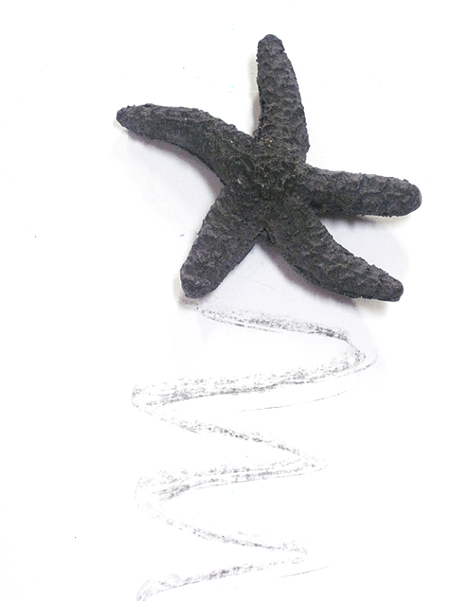500x666 graphite sculpture pencil sea star drawing and writing tool - Sea Star Drawing