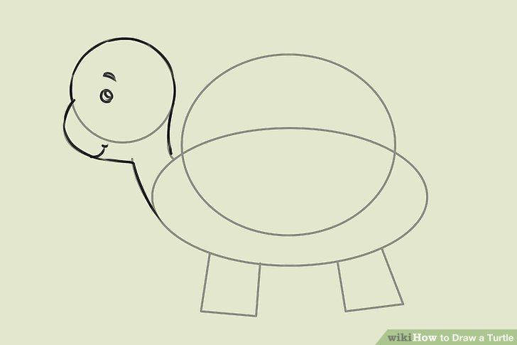 Sea Turtle Cartoon Drawing