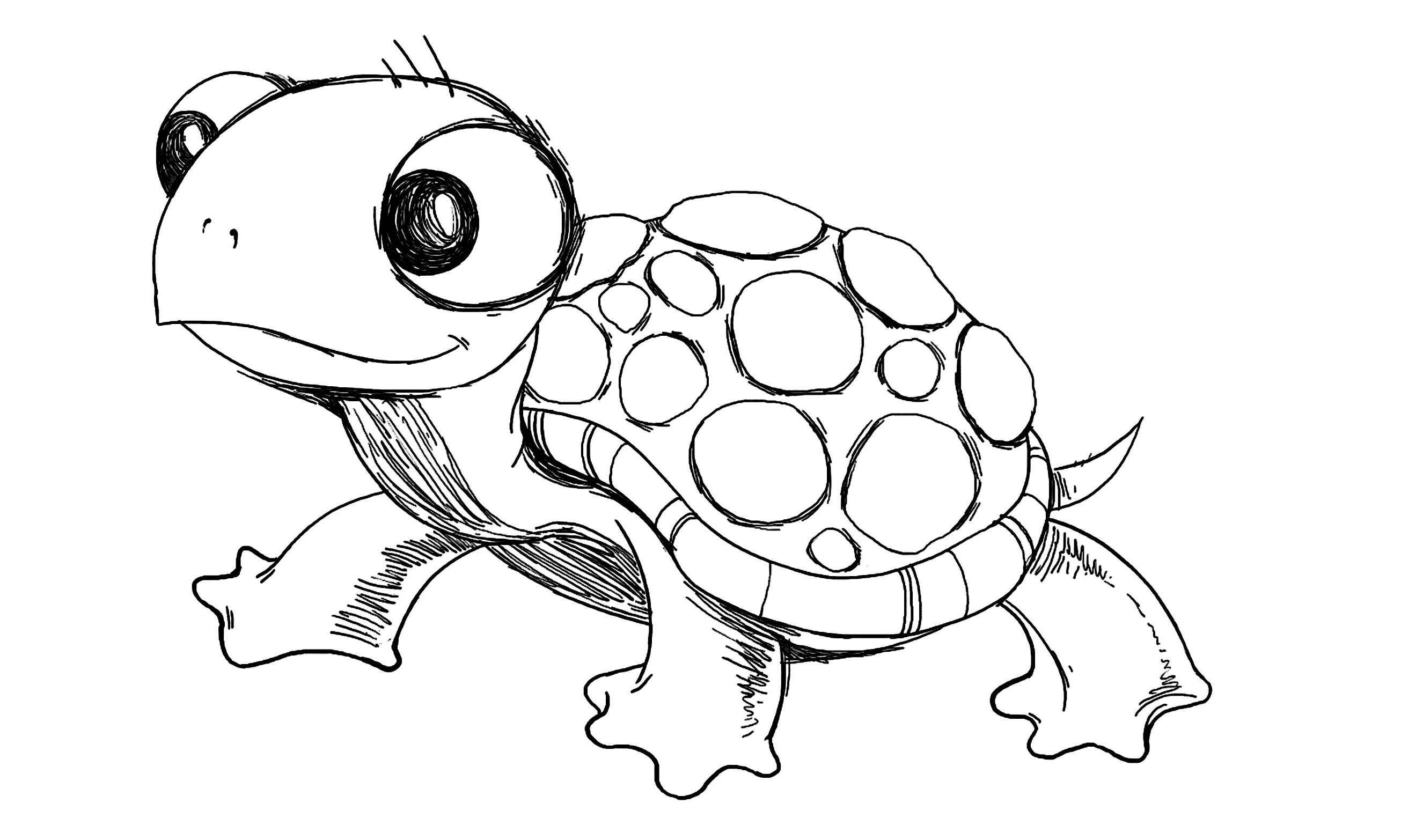 Sea Turtle Cartoon Drawing at Explore collection